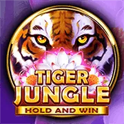 Quản lý tài khoản VIP hello88 run